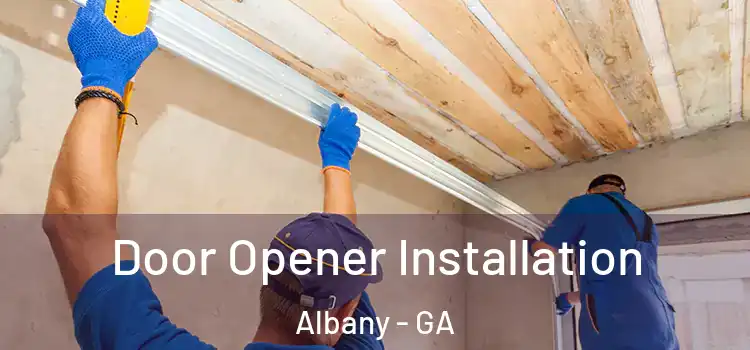 Door Opener Installation Albany - GA