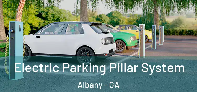  Electric Parking Pillar System Albany - GA