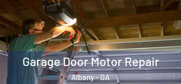  Garage Door Motor Repair Albany - GA