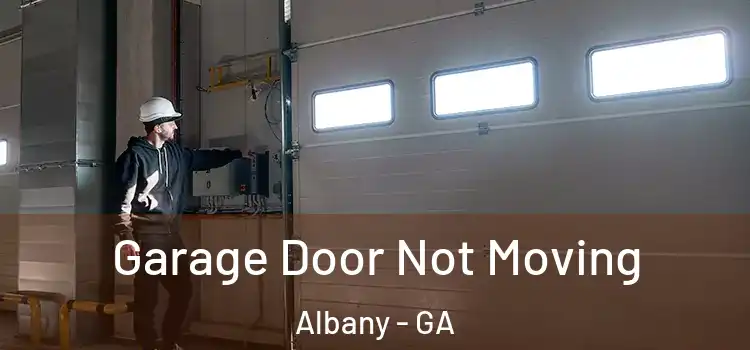  Garage Door Not Moving Albany - GA