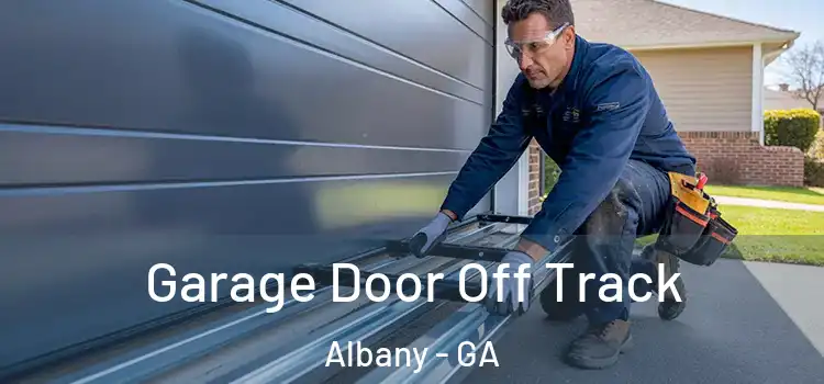  Garage Door Off Track Albany - GA