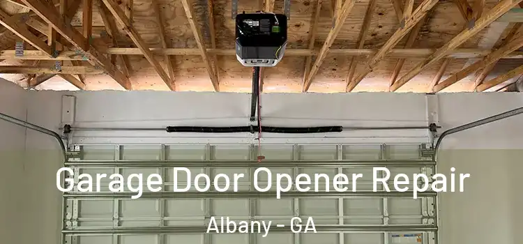  Garage Door Opener Repair Albany - GA