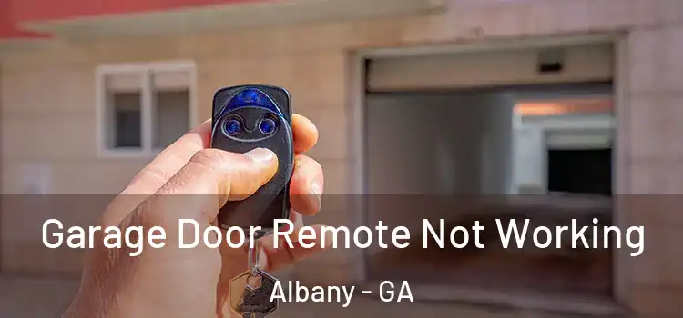  Garage Door Remote Not Working Albany - GA