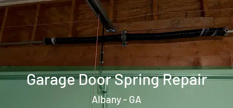  Garage Door Spring Repair Albany - GA
