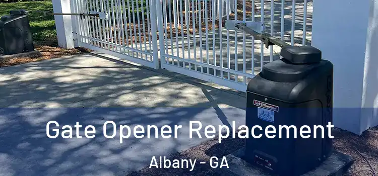  Gate Opener Replacement Albany - GA