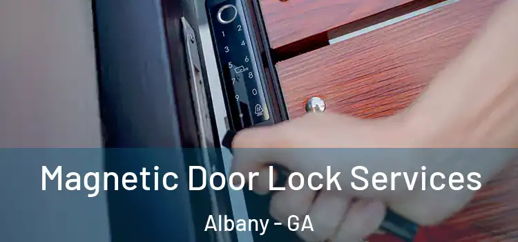  Magnetic Door Lock Services Albany - GA
