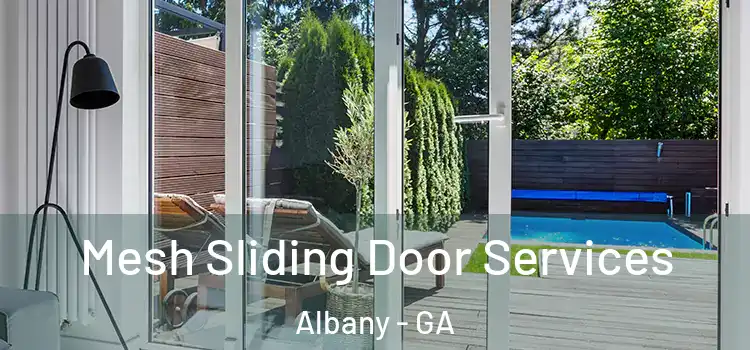  Mesh Sliding Door Services Albany - GA